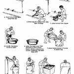 Lưu ý yếu tố môi trường khi thả tôm sú giống