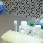 Real-Time PCR cung cấp độ nhạy, độ đặc hiệu trong việc phát hiện plasmid AHPND